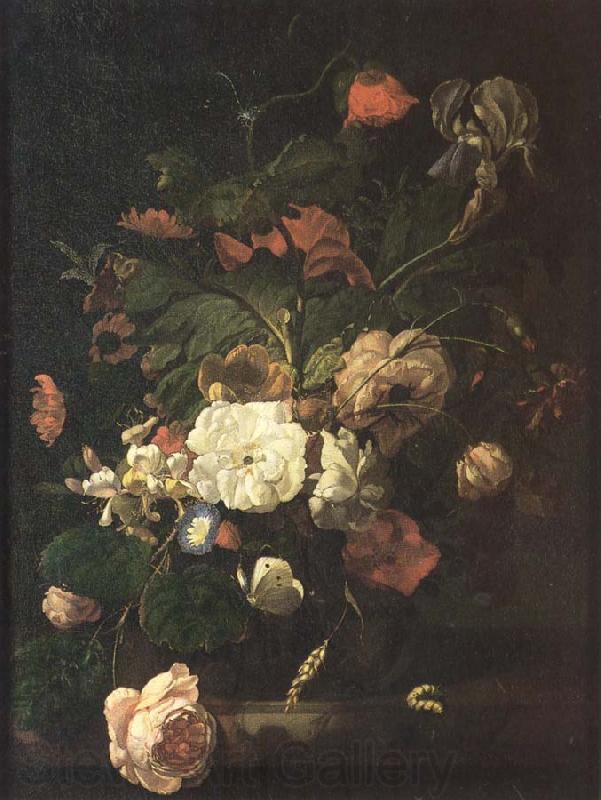 Rachel Ruysch Flowers in a vase Norge oil painting art
